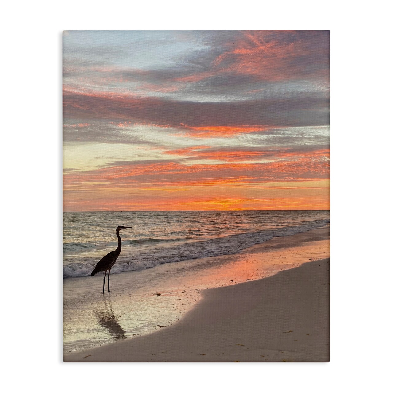 Stupell Industries Lone Egret on Beach Canvas Wall Art Design by Mary Lou Johnson